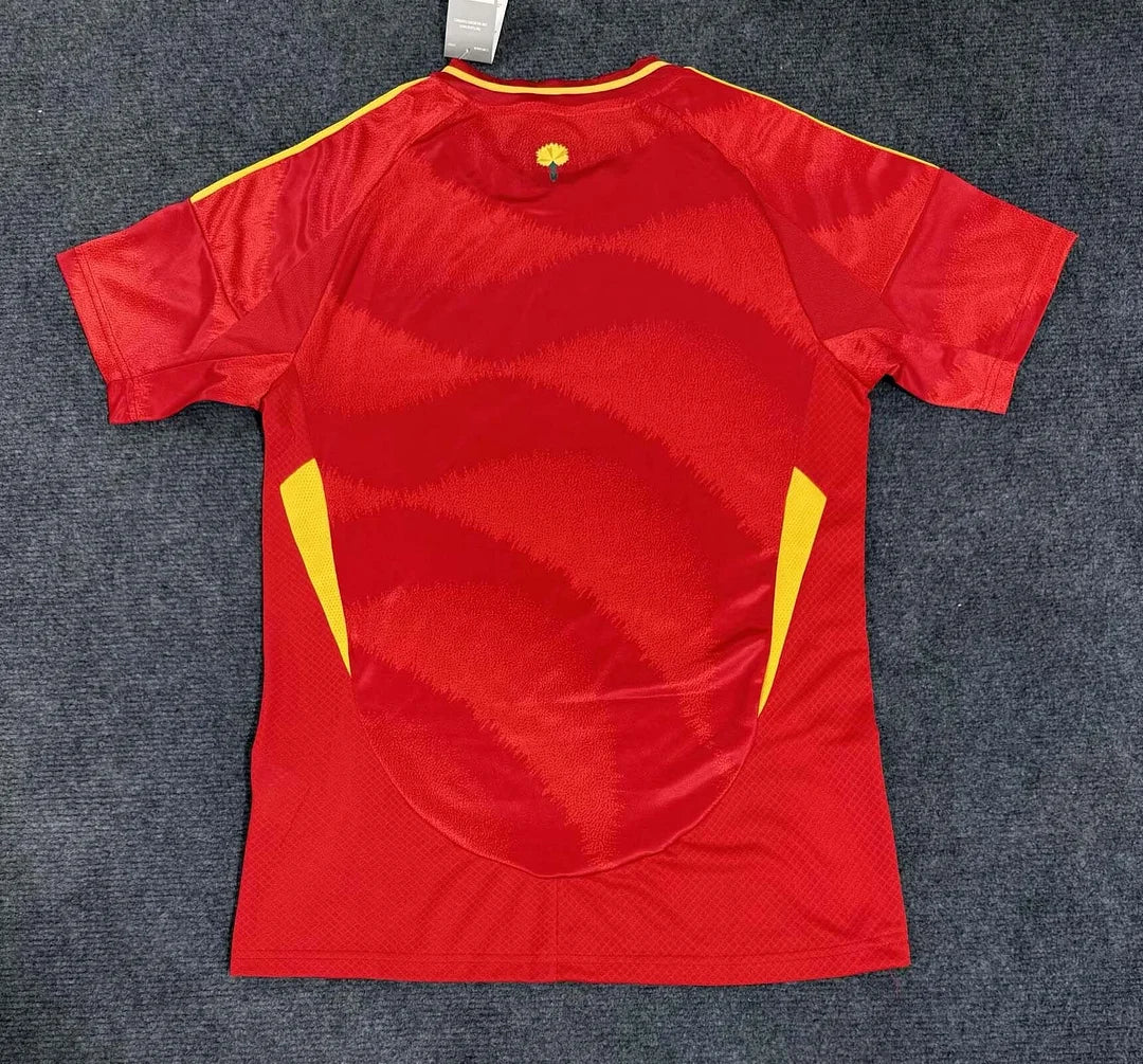 Spain 2024 Home Kit
