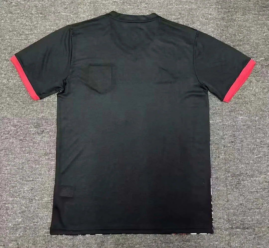 Japan 2025 Long Sword Edition