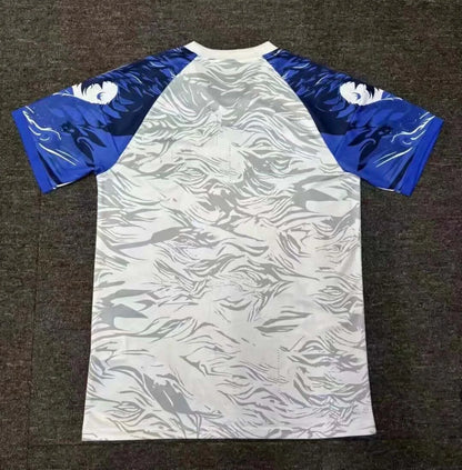 Japan 2025 Blue Dragon Kit