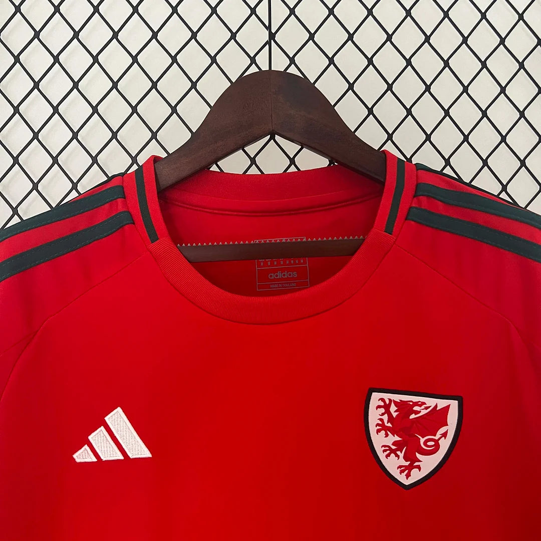 Wales 2024 Home Kit