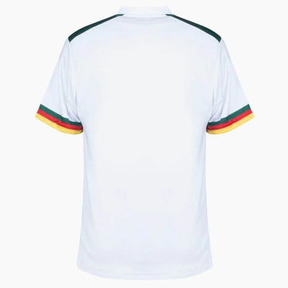 Cameroon 2022 Third Kit