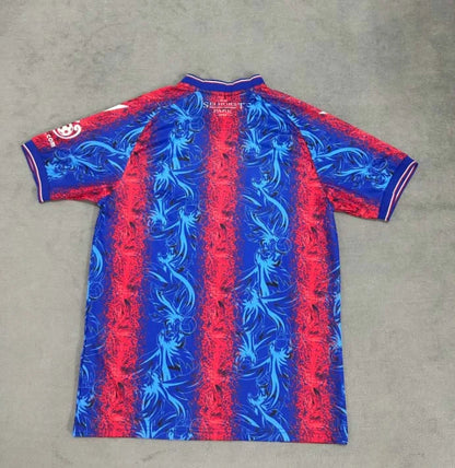 Crystal Palace 24/25 Home Kit