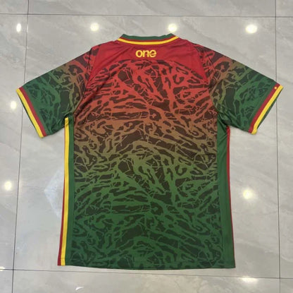 Cameroon 23/24 Home Kit