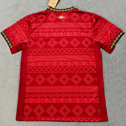 Brazil X Stussy X AJ Red Jersey