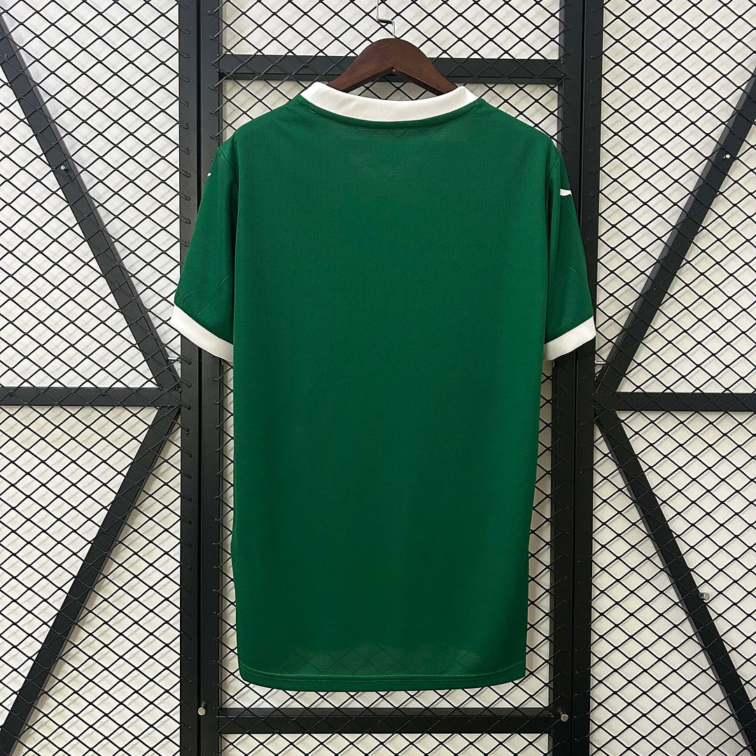 Palmeiras 25/26 Home Kit